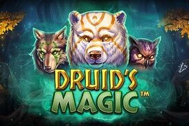 Интересный игровой автомат Риобет — Druid’s Magic